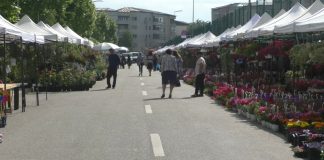 O NOUĂ EDIȚIE Expo Flora ÎN PARCUL TINERETULUI