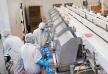 Progrese semnificative în implementarea Programului INVESTALIM: 20 de acorduri de finanțare semnate, cu investiții de peste 3,6 miliarde lei