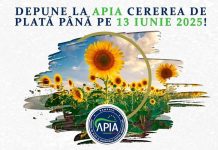 Fermierii sunt așteptați până pe 13 iunie 2025 să depună Cererea de plată!