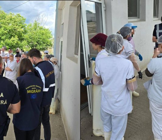 CONTROL ÎN DOMENIUL PANIFICAȚIEI: 25 DE STRĂINI DIN VIETNAM AU FOST VERIFICAȚI