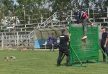 ETAPA JUDEȚEANĂ A CONCURSURILOR PROFESIONALE ALE SVSU ȘI SPSU