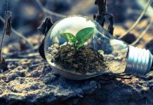 Avizul de mediu – informatii necesare