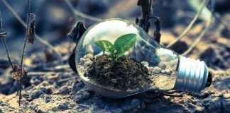 Avizul de mediu – informatii necesare