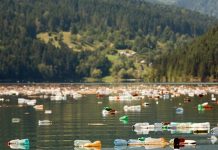 “Să combatem poluarea cu plastic”, tema Zilei Mondiale a Mediului