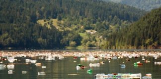 “Să combatem poluarea cu plastic”, tema Zilei Mondiale a Mediului