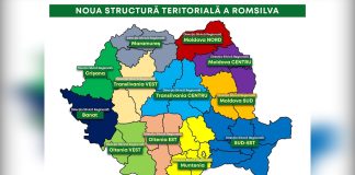 𝐑𝐨𝐦𝐬𝐢𝐥𝐯𝐚: 𝐑𝐞𝐠𝐮𝐥𝐚𝐦𝐞𝐧𝐭𝐮𝐥 𝐝𝐞 𝐨𝐫𝐠𝐚𝐧𝐢𝐳𝐚𝐫𝐞 𝐬̦𝐢 𝐟𝐮𝐧𝐜𝐭̦𝐢𝐨𝐧𝐚𝐫𝐞 – 𝐢̂𝐧 𝐜𝐨𝐧𝐬𝐮𝐥𝐭𝐚𝐫𝐞 𝐩𝐮𝐛𝐥𝐢𝐜𝐚̆