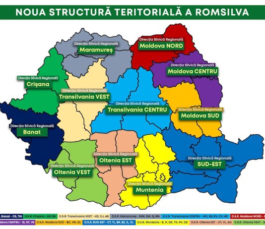 𝐑𝐨𝐦𝐬𝐢𝐥𝐯𝐚: 𝐑𝐞𝐠𝐮𝐥𝐚𝐦𝐞𝐧𝐭𝐮𝐥 𝐝𝐞 𝐨𝐫𝐠𝐚𝐧𝐢𝐳𝐚𝐫𝐞 𝐬̦𝐢 𝐟𝐮𝐧𝐜𝐭̦𝐢𝐨𝐧𝐚𝐫𝐞 – 𝐢̂𝐧 𝐜𝐨𝐧𝐬𝐮𝐥𝐭𝐚𝐫𝐞 𝐩𝐮𝐛𝐥𝐢𝐜𝐚̆