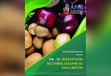 Legume & cartofi cu fonduri europene prin DR-16!