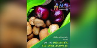 Legume & cartofi cu fonduri europene prin DR-16!