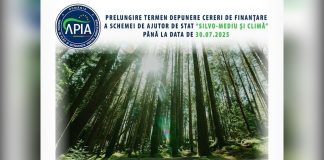 Prelungire termen depunere Cereri de finanțare a schemei de ajutor de stat „Silvo-mediu și climă”