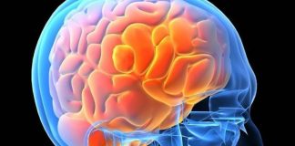 Ziua Mondială a Creierului