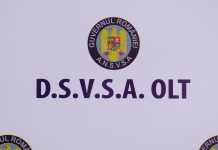 AMENZI DE PESTE 270 000 LEI, APLICATE DE CONSILIERII DSVSA OLT