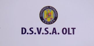 AMENZI DE PESTE 270 000 LEI, APLICATE DE CONSILIERII DSVSA OLT