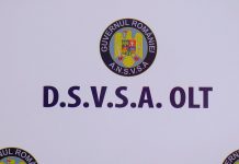 RECOMANDĂRI PENTRU PREVENIREA TOXIINFECȚIILOR ALIMENTARE