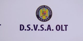 RECOMANDĂRI PENTRU PREVENIREA TOXIINFECȚIILOR ALIMENTARE