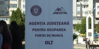 5,90% – RATA ȘOMAJULUI ÎN IUNIE 2025