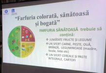 DESPRE ALIMENTAȚIA CORECTĂ ȘI SĂNĂTOASĂ LA ȘCOALA DE VARĂ