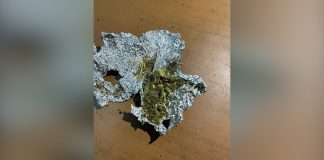 JANDARMERIA OLT, ÎN MISIUNE – DROGURI DEPISTATE