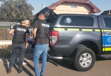 12 000 LEI AMENDĂ PENTRU DEȚINĂTORUL A 13 CÂINI DIN CEZIENI