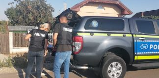 12 000 LEI AMENDĂ PENTRU DEȚINĂTORUL A 13 CÂINI DIN CEZIENI