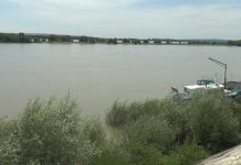 BĂRBAT CĂZUT ÎN DUNĂRE, SALVAT DE POLIȚIȘTII DE FRONTIERĂ