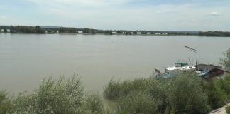 BĂRBAT CĂZUT ÎN DUNĂRE, SALVAT DE POLIȚIȘTII DE FRONTIERĂ