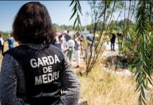 Bodycam-uri si drone pentru Garda Nationala de Mediu – acum reglementate si operationale!