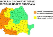 C𝐚𝐧𝐢𝐜𝐮𝐥𝐚̆ 𝐢̂𝐧 𝐦𝐚𝐢 𝐦𝐮𝐥𝐭𝐞 𝐣𝐮𝐝𝐞𝐭̦𝐞 𝐝𝐢𝐧 𝐭̦𝐚𝐫𝐚̆