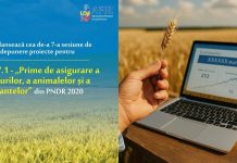 Interes foarte mare pentru Submăsura 17.1!