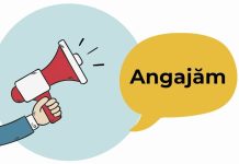 Angajăm Jurnalist de Investigații