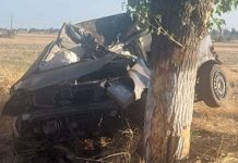 TÂNĂR, DECEDAT, DUPĂ CE A INTRAT CU MAȘINA ÎNTR-UN POM