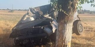 TÂNĂR, DECEDAT, DUPĂ CE A INTRAT CU MAȘINA ÎNTR-UN POM