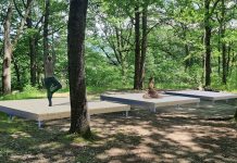 PĂDUREA STREHAREȚI, TRANSFORMARE SPECTACULOASĂ