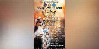 SOUTH WEST DOG CHALLENGE 2025, LA PLAJA OLT