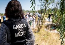 Inregistrarile video ale GNM sunt probe in instanta