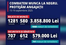 Amenzi de peste 4,4 milioane de lei și 189 de persoane depistate cu muncă nedeclarată