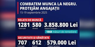 Amenzi de peste 4,4 milioane de lei și 189 de persoane depistate cu muncă nedeclarată