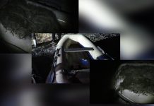 Plase interzise pe râul Olt – peste 2 km, confiscate de jandarmi