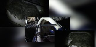 Plase interzise pe râul Olt – peste 2 km, confiscate de jandarmi