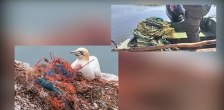 𝐏𝐥𝐚𝐬𝐭𝐢𝐜𝐮𝐥 𝐩𝐨𝐥𝐮𝐞𝐚𝐳𝐚̆. 𝐄𝐯𝐢𝐭𝐚̆-𝐥! – 𝐜𝐚𝐦𝐩𝐚𝐧𝐢𝐞 𝐢𝐧𝐢𝐭̦𝐢𝐚𝐭𝐚̆ 𝐝𝐞 𝐌𝐌𝐀𝐏