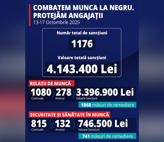 Bilanțul controalelor Inspecției Muncii