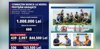 Nereguli Majore privind Protecția și Plata Muncii Ocazionale