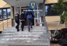 BĂRBAT REȚINUT PENTRU UCIDEREA CU INTENȚIE A UNUI CÂINE