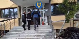 BĂRBAT REȚINUT PENTRU UCIDEREA CU INTENȚIE A UNUI CÂINE