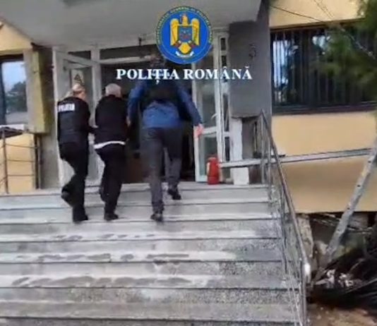 BĂRBAT REȚINUT PENTRU UCIDEREA CU INTENȚIE A UNUI CÂINE