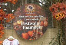 FESTIVALUL TOAMNEI – SĂRBĂTOAREA GUSTURILOR ȘI A TRADIȚIILOR ROMÂNEȘTI