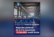 Se extinde protecția salariaților în caz de insolvență prin modificarea Legii nr. 200/2006
