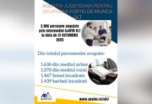 Mii de persoane angajate prin intermediul AJOFM Olt