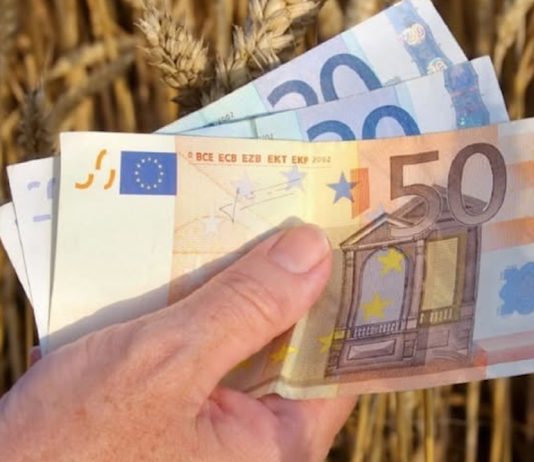 România a ajuns la un grad de absorbție de peste 95% pentru PNDR