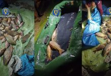 Dosar penal pe numele unui tânăr din Olt, pentru braconaj piscicol
